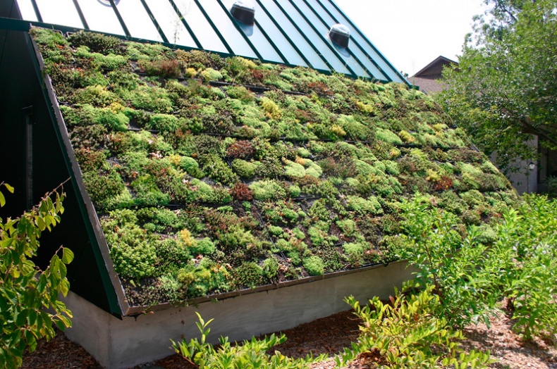 Green Roof by Ryan Somma