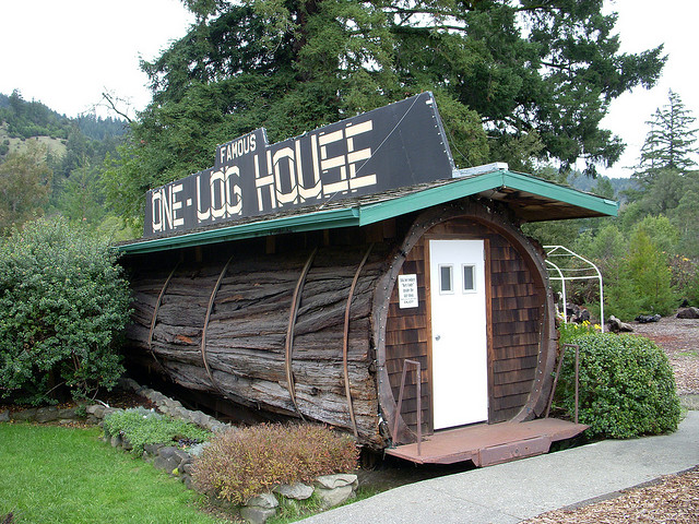 One Log House by Kristie Wells