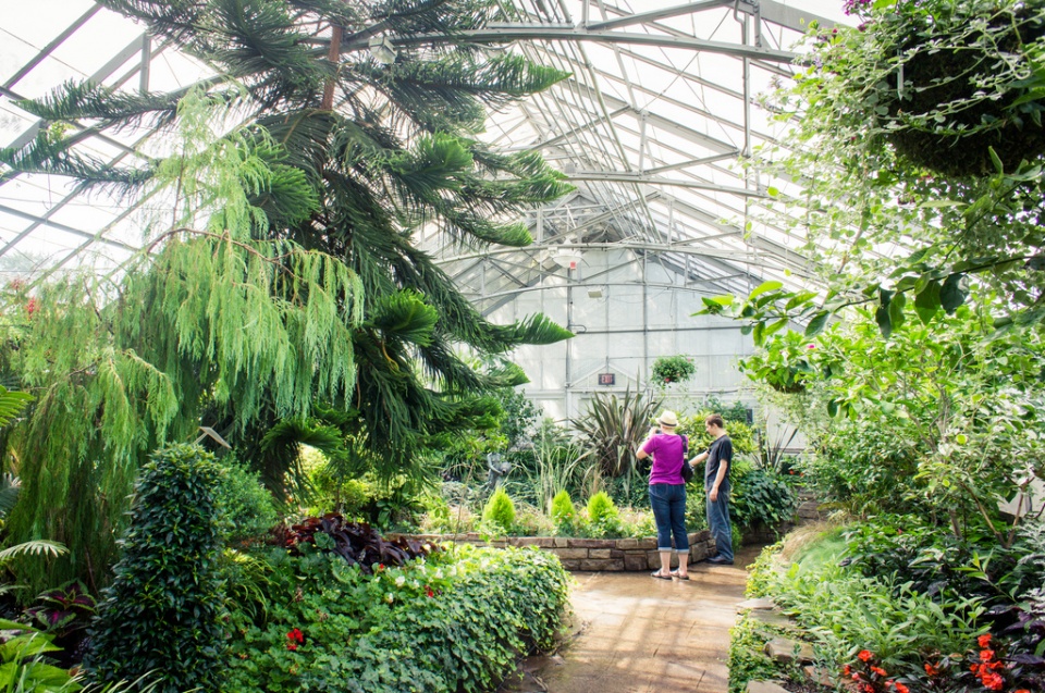 Visitors Botanical Gardens