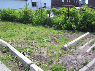 Guerrilla Gardening Community Downtown Planting