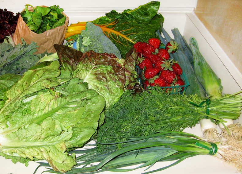 Organic Food Basket by Ned Raggett