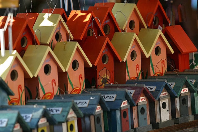 Bird Houses by Andrew Osterberg