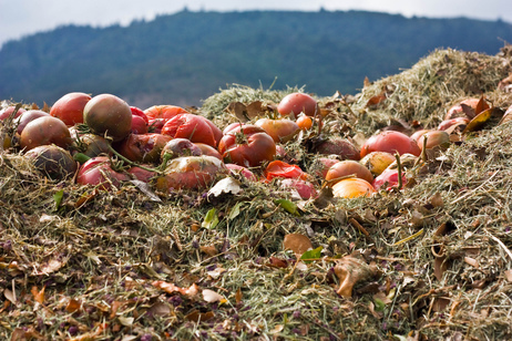 compost bin