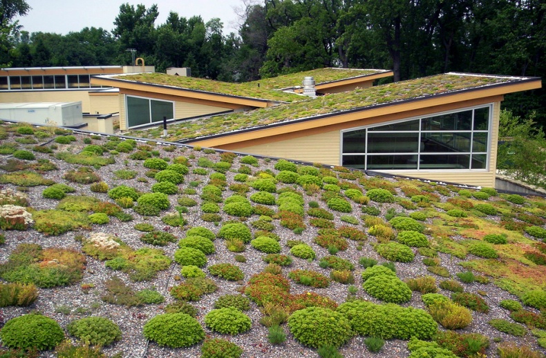 Green Roof by Arlington County