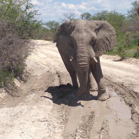 Jen P trip to Namibia pic