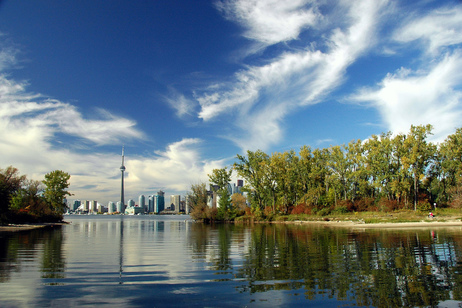 Toronto through trees by