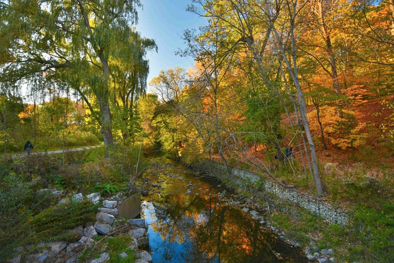 Moving or Relocating out of Toronto?