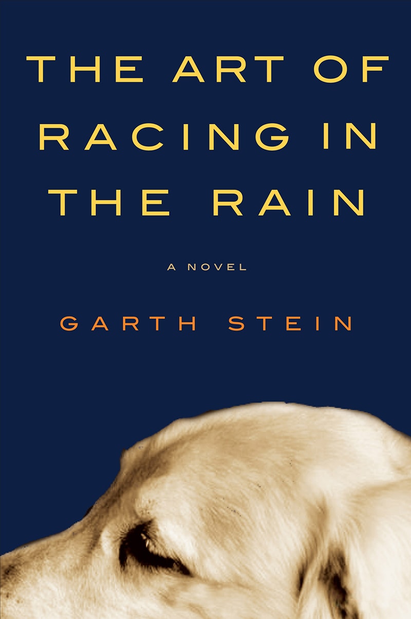 book review of the art of racing in the rain