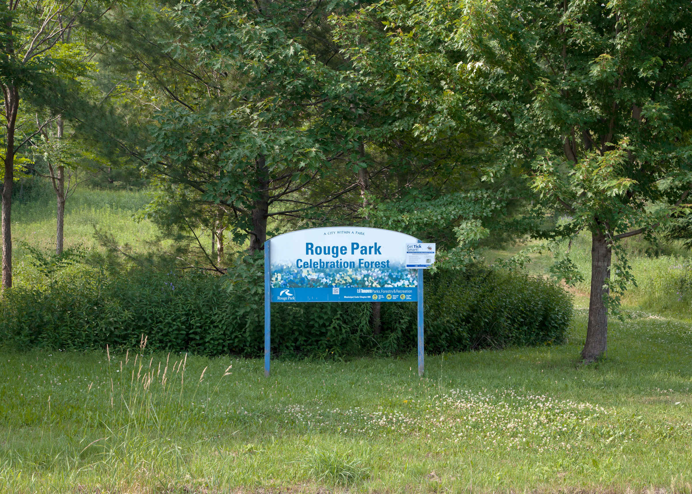 A Nature Day Trip From Toronto: Rouge Park