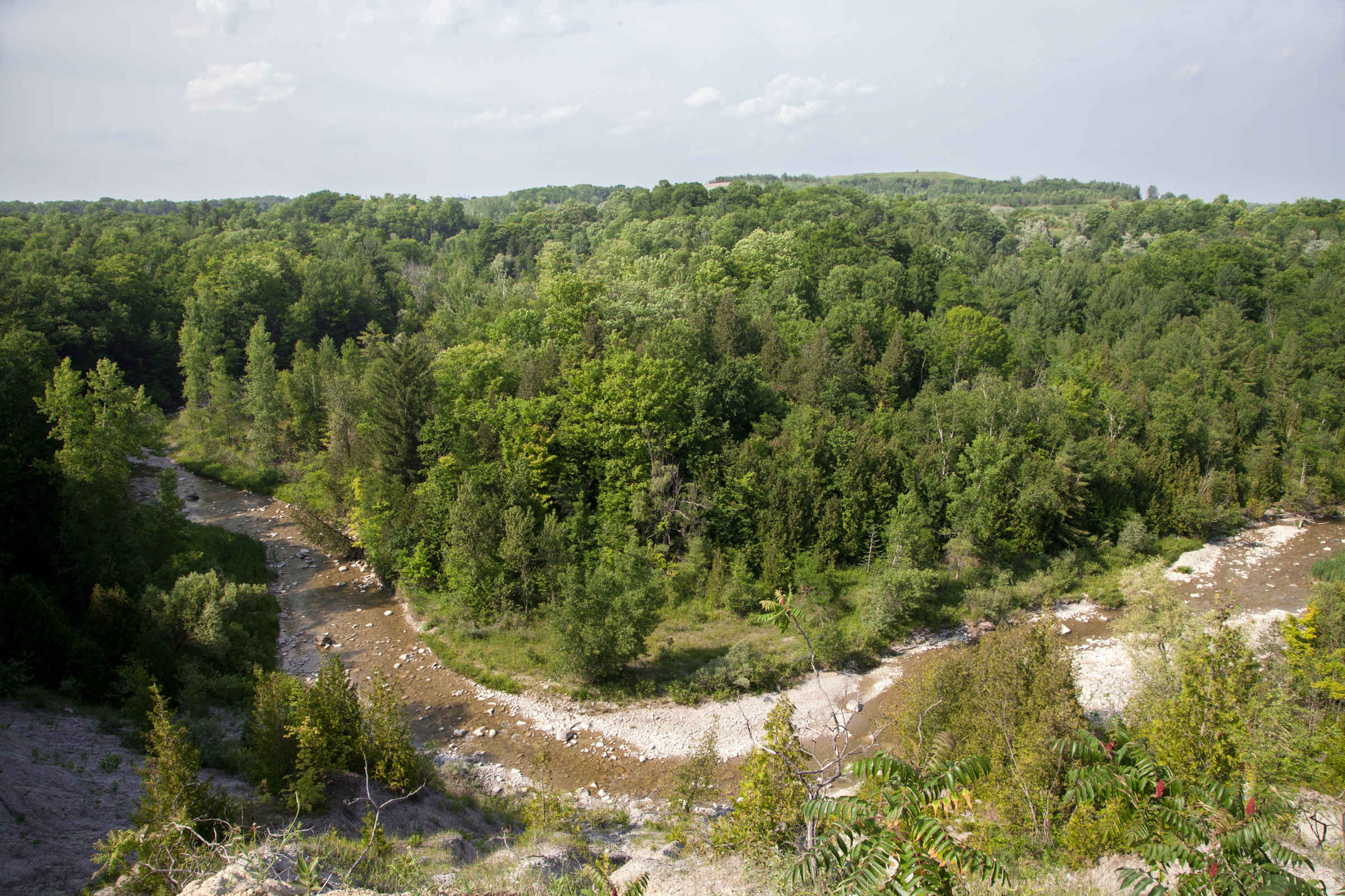 A Nature Day Trip From Toronto Rouge Park