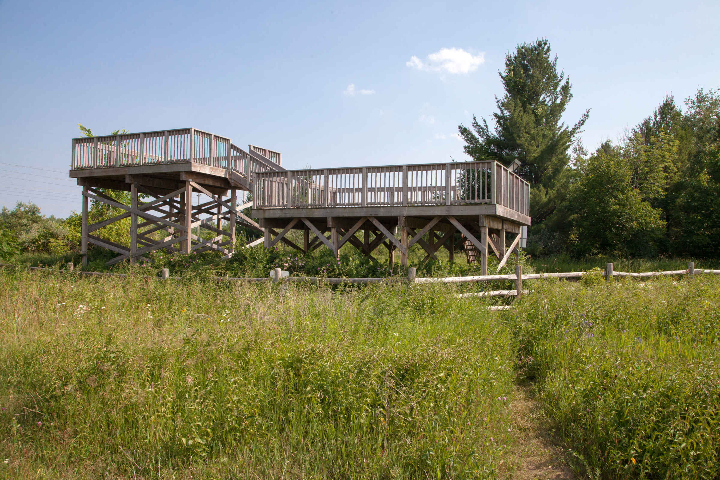 A Nature Day Trip From Toronto Rouge Park