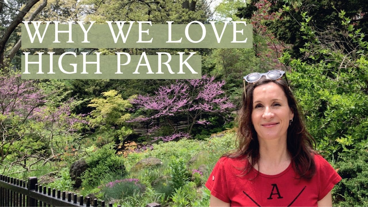 Why We Love High Park - Getting to Know the JKT