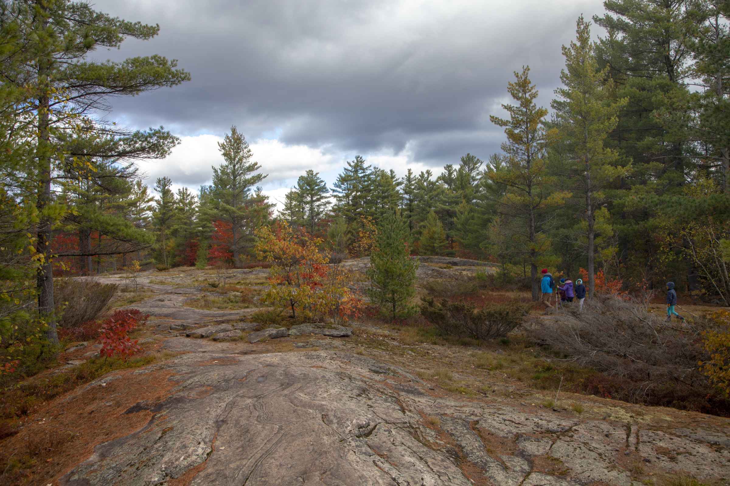 Fall at Kawartha Lakes