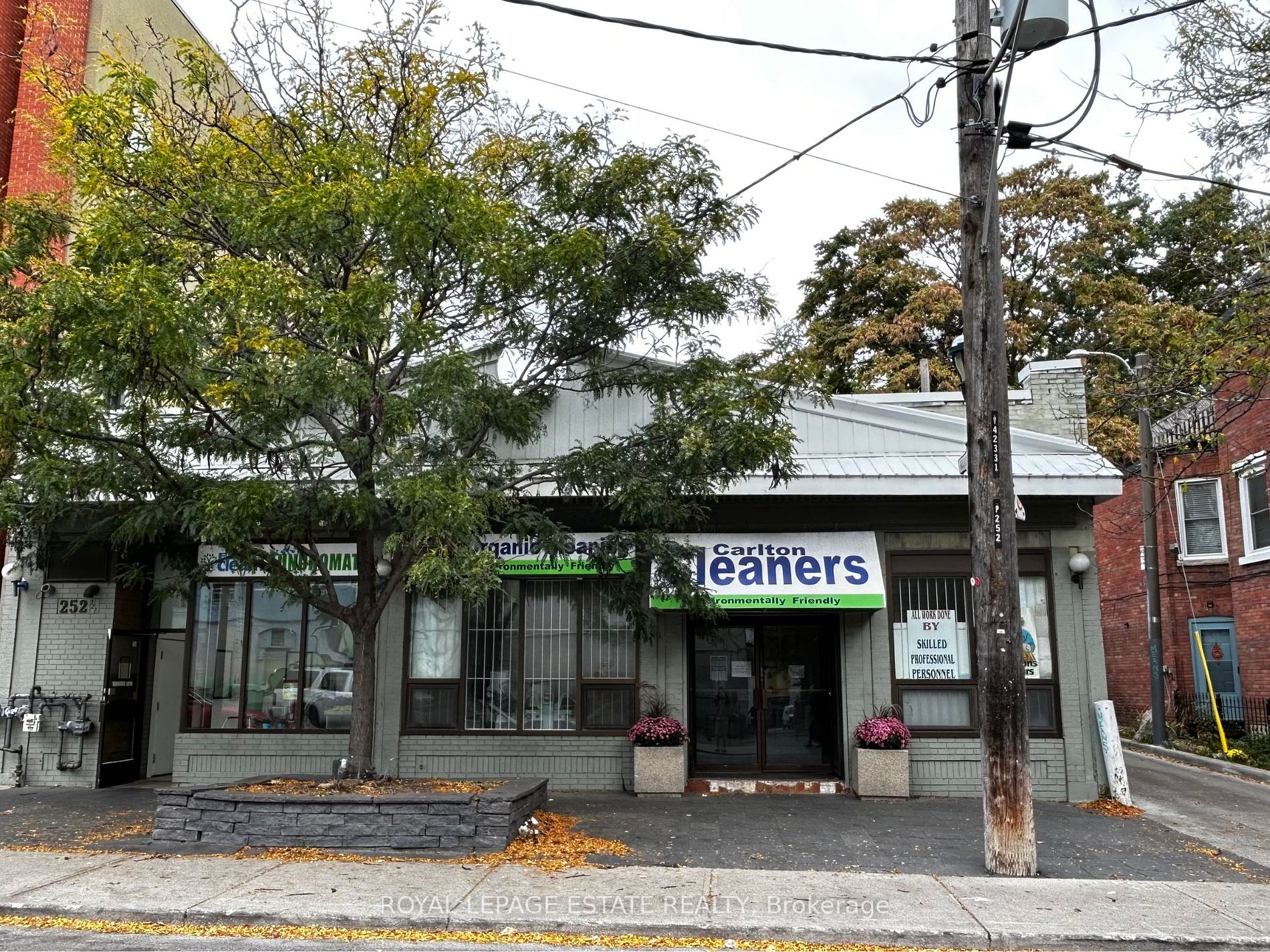 252 1/2 Carlton St #B - Toronto C08 - Cabbagetown-South St. James Town