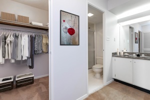 wynfordheightscres_master bedroom walkin closet & bathroom