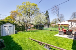 45webormls74_001_backyard