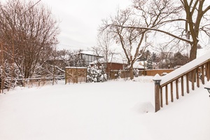 46webormls74_002_backyard