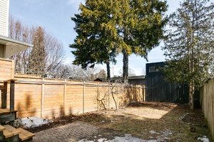 55webormls74_005_backyard