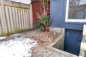 56webormls74_006_backyard