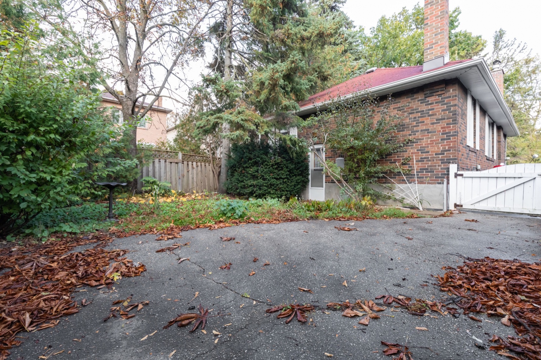 258 Prince Edward Drive South West Toronto Sunnylea Etobicoke