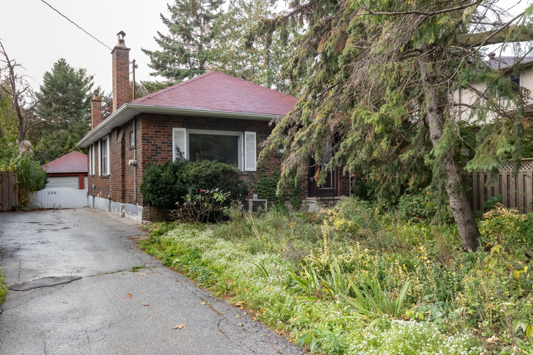258 Prince Edward Drive South West Toronto Sunnylea Etobicoke
